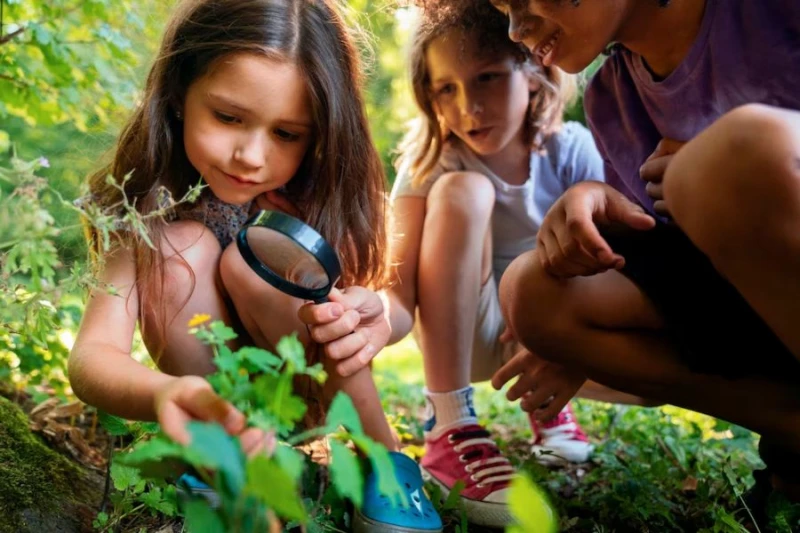 Edukacja na świeżym powietrzu. Ekopracownie powstaną w regionie